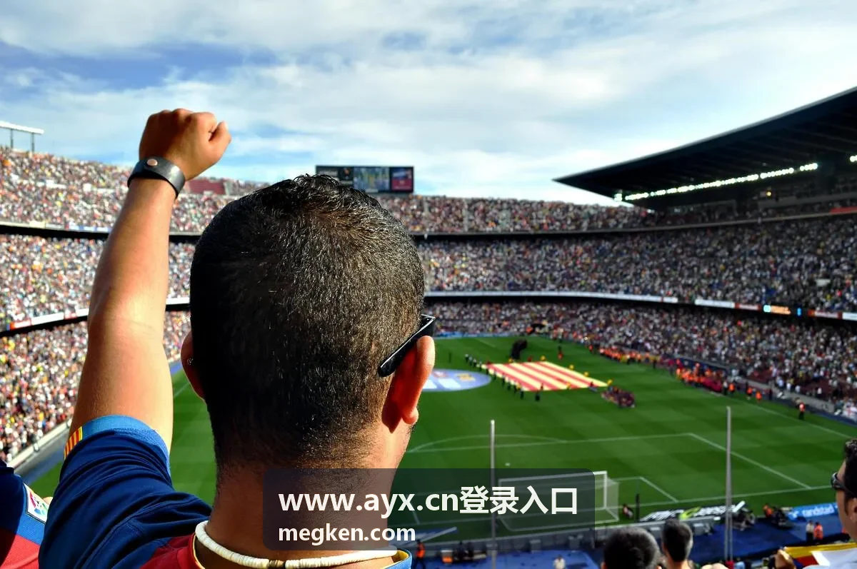 www.ayx.cn登录入口下载记录界面展示