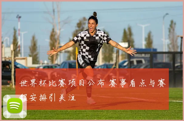 世界杯比赛项目公布 赛事看点与赛程安排引关注