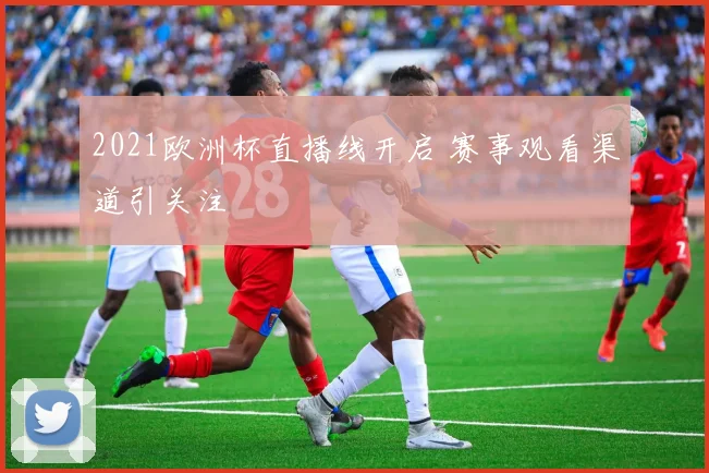 2021欧洲杯直播线开启 赛事观看渠道引关注