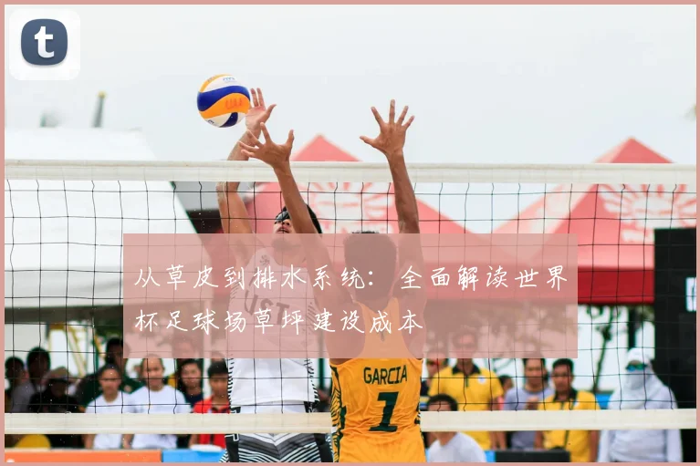 从草皮到排水系统：全面解读世界杯足球场草坪建设成本