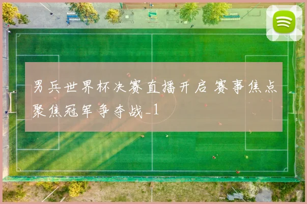 男兵世界杯决赛直播开启 赛事焦点聚焦冠军争夺战_1