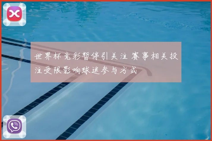 世界杯竞彩暂停引关注 赛事相关投注受限影响球迷参与方式