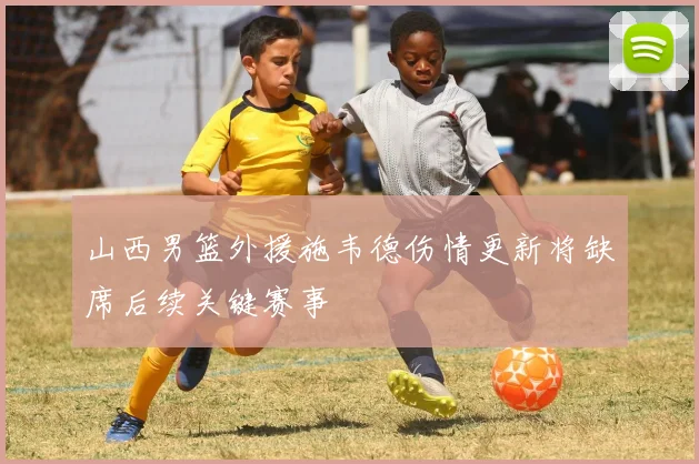 山西男篮外援施韦德伤情更新将缺席后续关键赛事