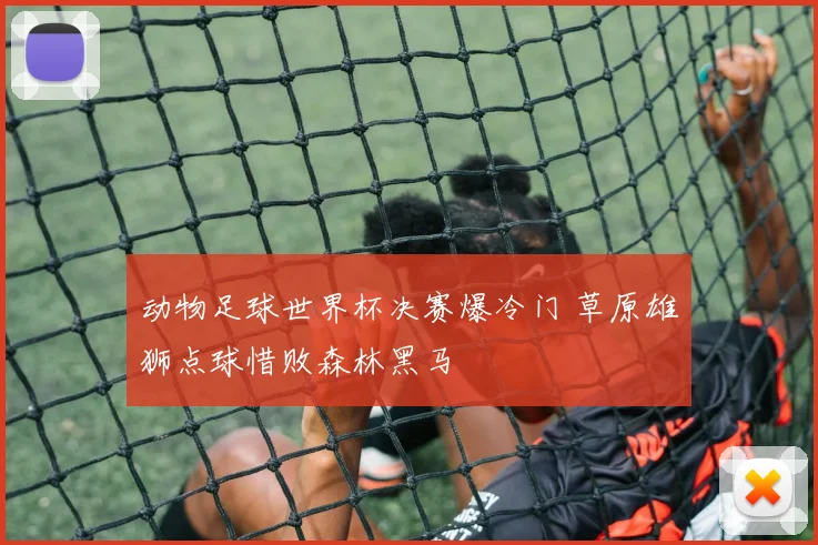 动物足球世界杯决赛爆冷门 草原雄狮点球惜败森林黑马