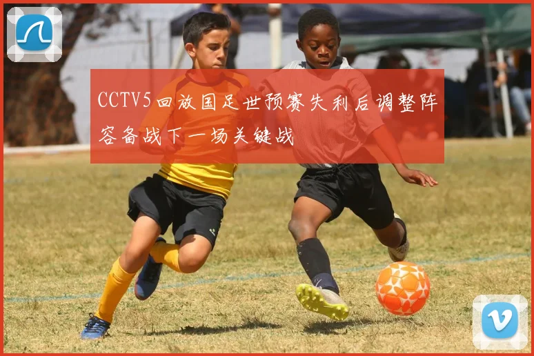 CCTV5回放国足世预赛失利后调整阵容备战下一场关键战